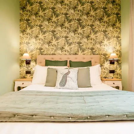 Dream House Bed & Breakfast 2*